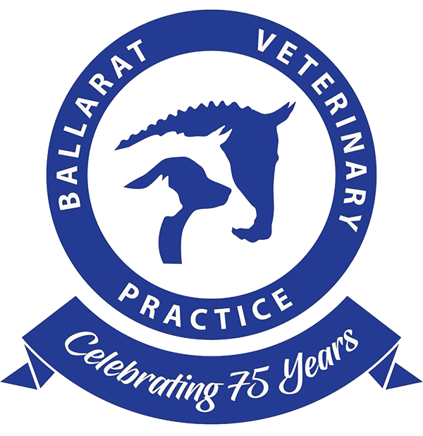 Employment at the Ballarat Veterinary Practice