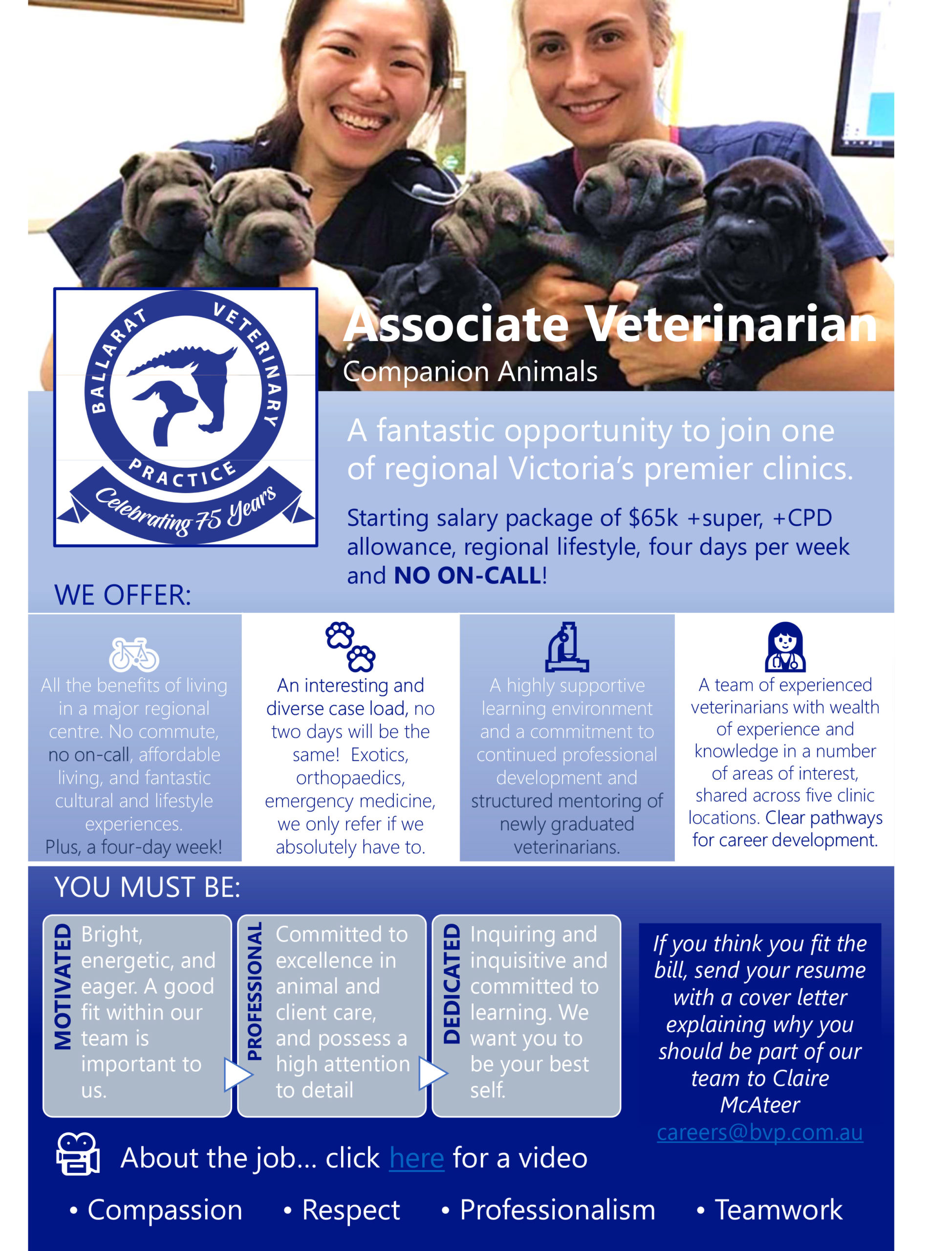 Associate Veterinarian Companion Animals Ballarat Veterinary Practice