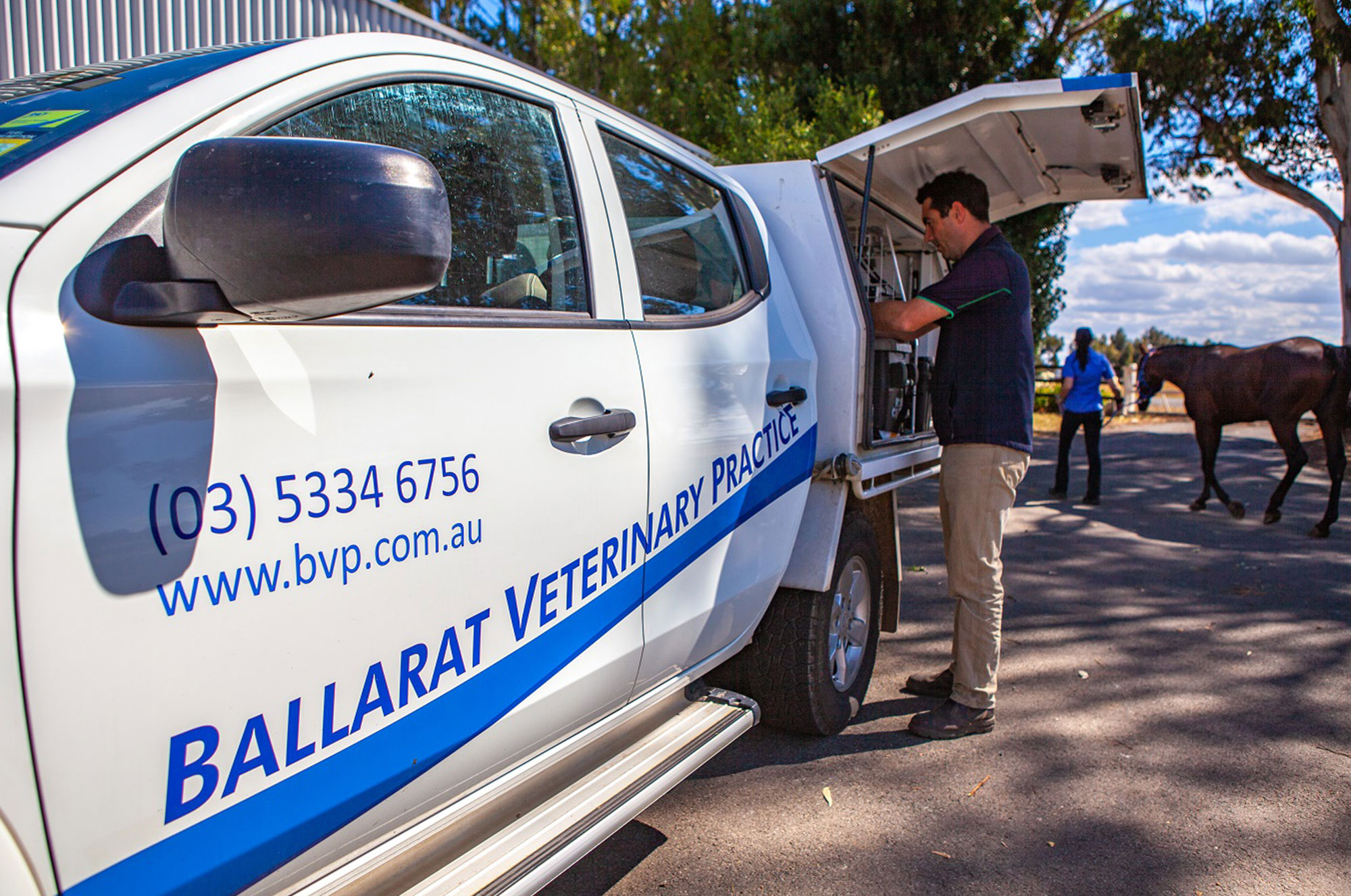 Wendouree Veterinary Clinic