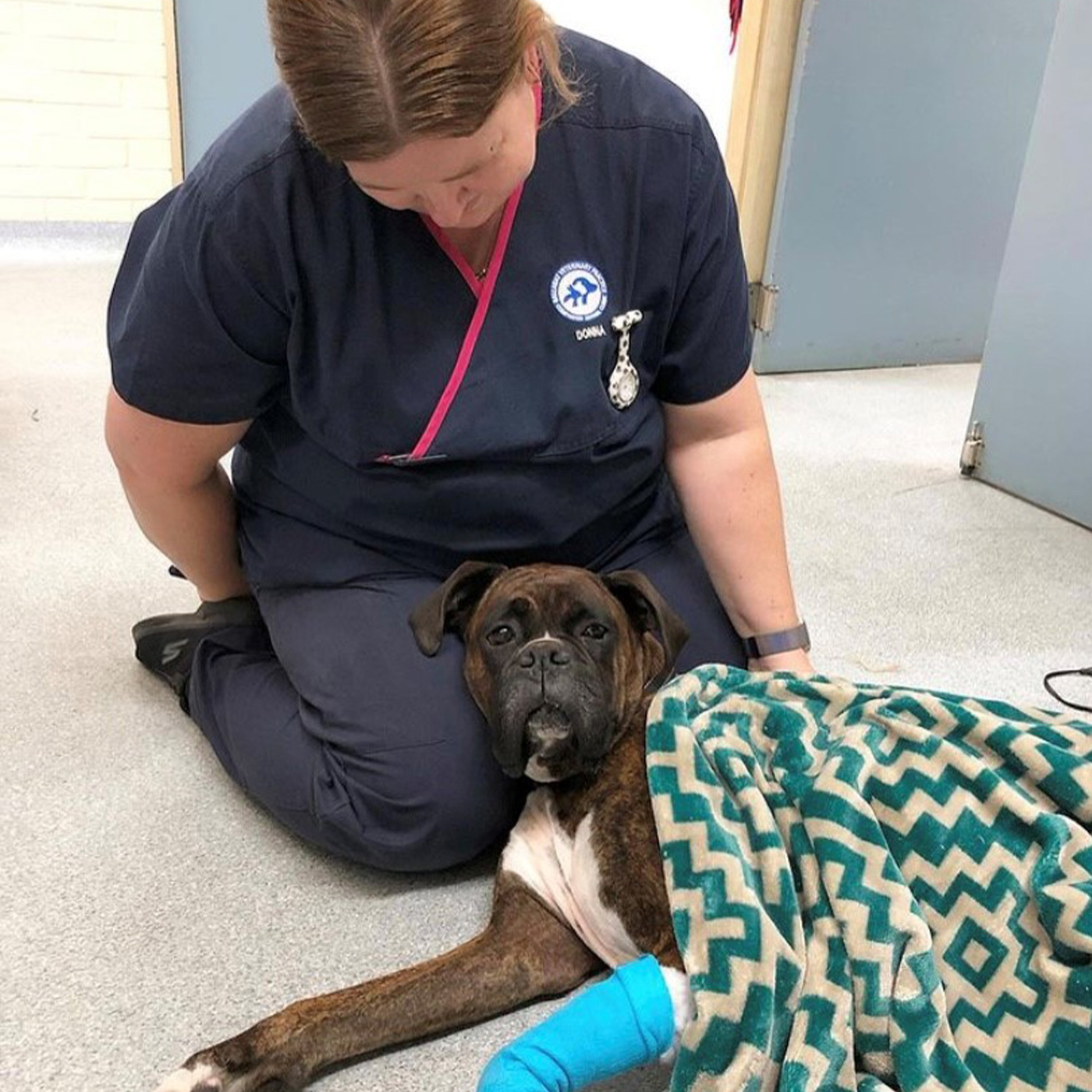 BVP - Small Animals Vet Surgery at Ballarat Veterinary Practice