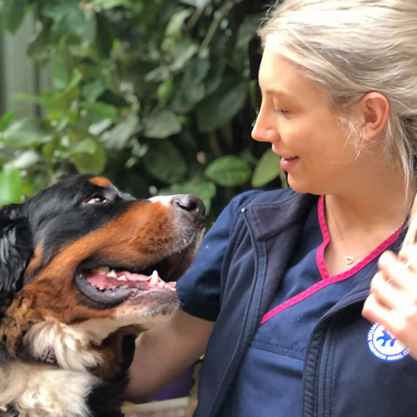 Ballarat Veterinary Practice - Pet Healthcare