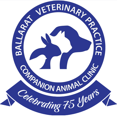 Ballarat Veterinary Practice - Contact Sturt Street Ballarat Vet
