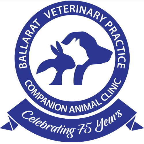 Ballarat Veterinary Practice - Companion Animal Clinic - Contact Sturt Street Ballarat Vet