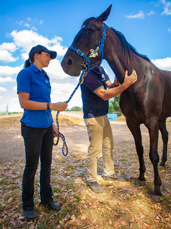 Ballarat Veterinary Practice - Equine Clinic Staff - Meet the Team
