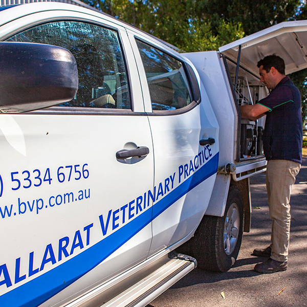 Ballarat Veterinary Practice - Mobile Equine Vet Care