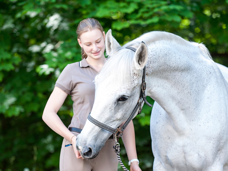 Equine Healthcare Packages - Senior Horse Healthcare Package (SHP)