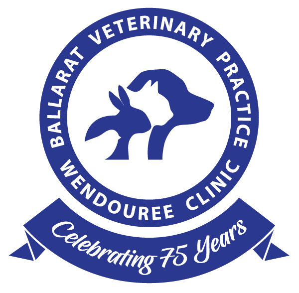 Ballarat Veterinary Practice - Companion Animal Clinic - Contact Wendouree Vet Clinic
