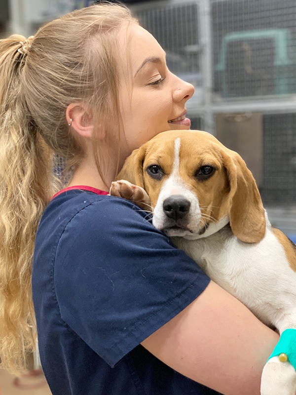 Companion Animal Clinic Staff - Zoe and Beagle