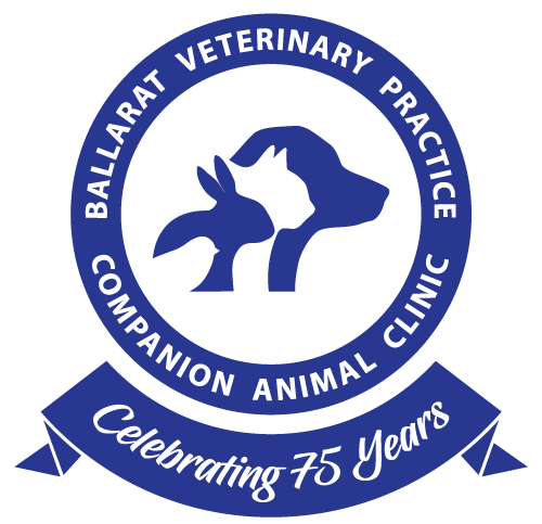 Companion Animal Clinic Staff - Ballarat Veterinary Practice