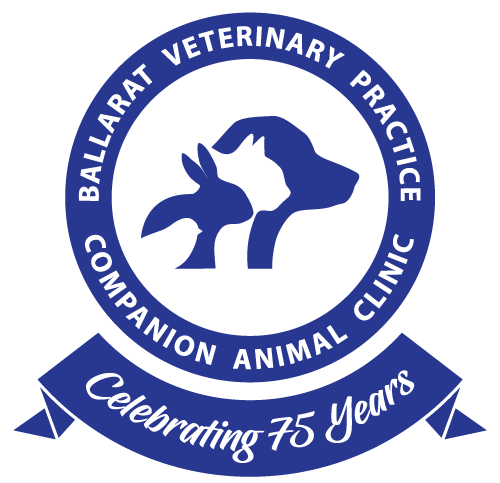 Make an Appointment Ballarat Veterinary Practice