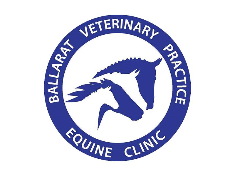 COVID-19 Ambulatory Vet Protocol - Ballarat Veterinary Practice