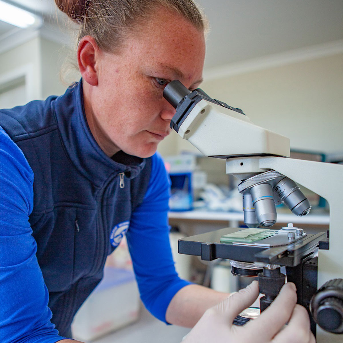 Ballarat Veterinary Practice - Equine Laboratory Services