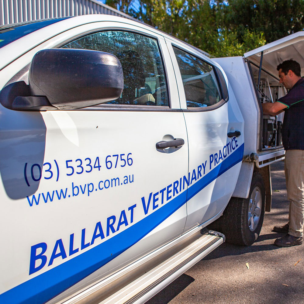 Ballarat Veterinary Practice Equine Clinic - Ambulatory / Mobile Equine Care