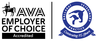 BVP is an accredited Employer of Choice from the AVA