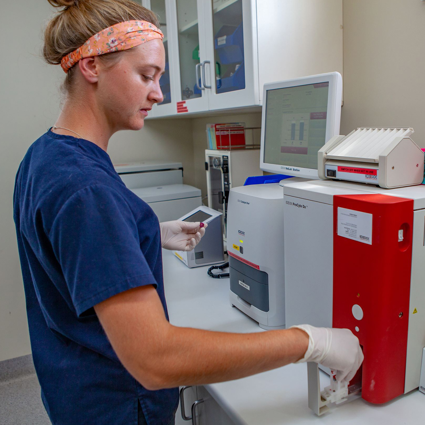 BVP - Small Animals Vet Laboratory Services at Ballarat Veterinary Practice