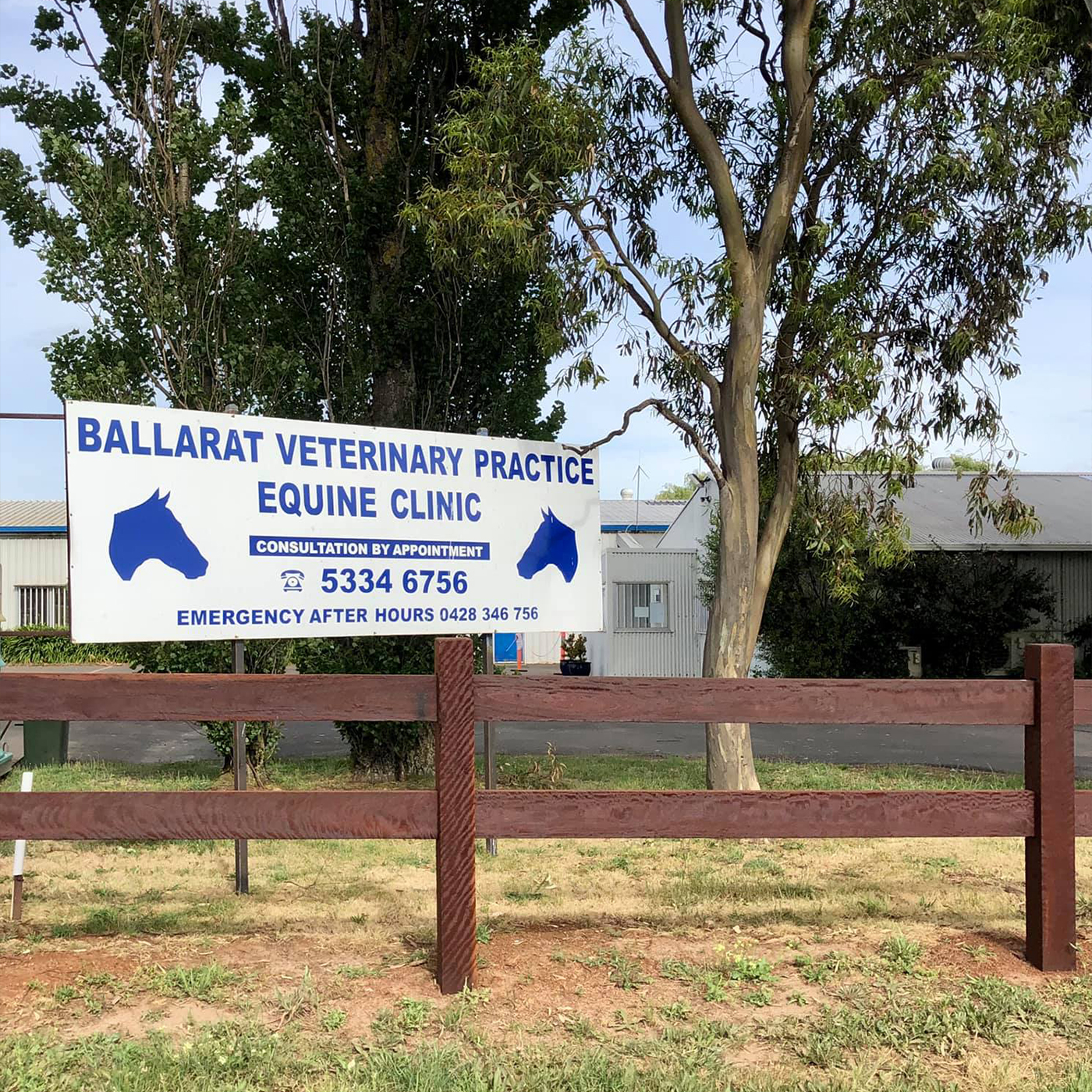 Ballarat Vet Practice - Ballarat Equine Placements