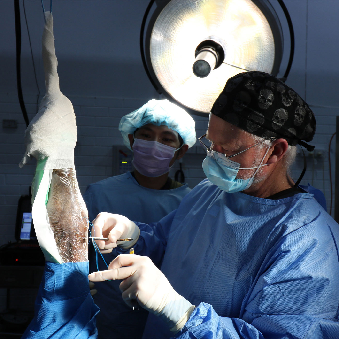 Ballarat Vet Practice Equine Surgery - Brian Cyrus Surgery