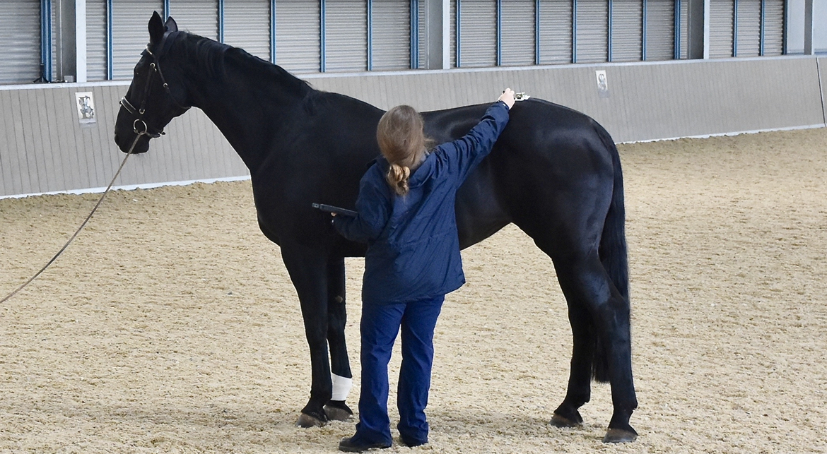 Equinosis Lameness Locator