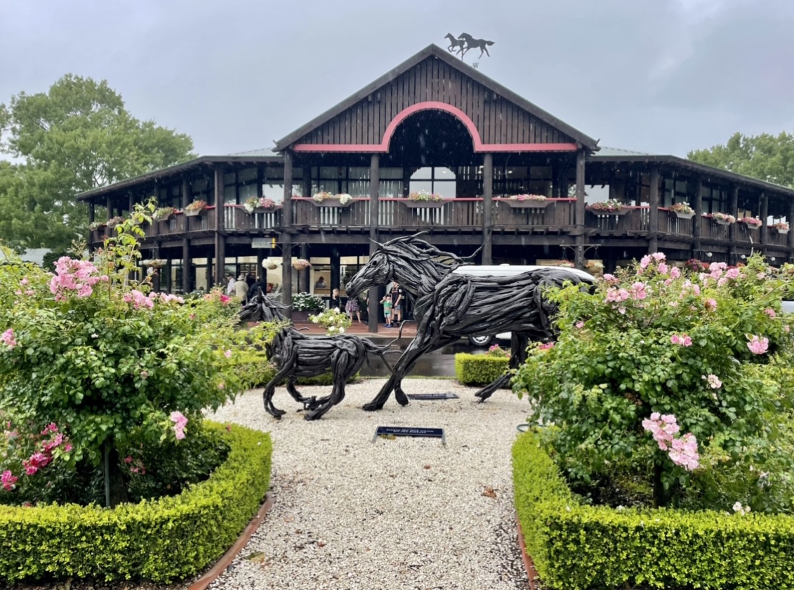 Karaka Yearling Sales