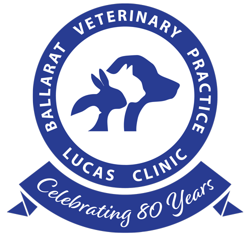 Ballarat Veterinary Practice - Companion Animal Clinic - Contact Lucas Veterinary Clinic